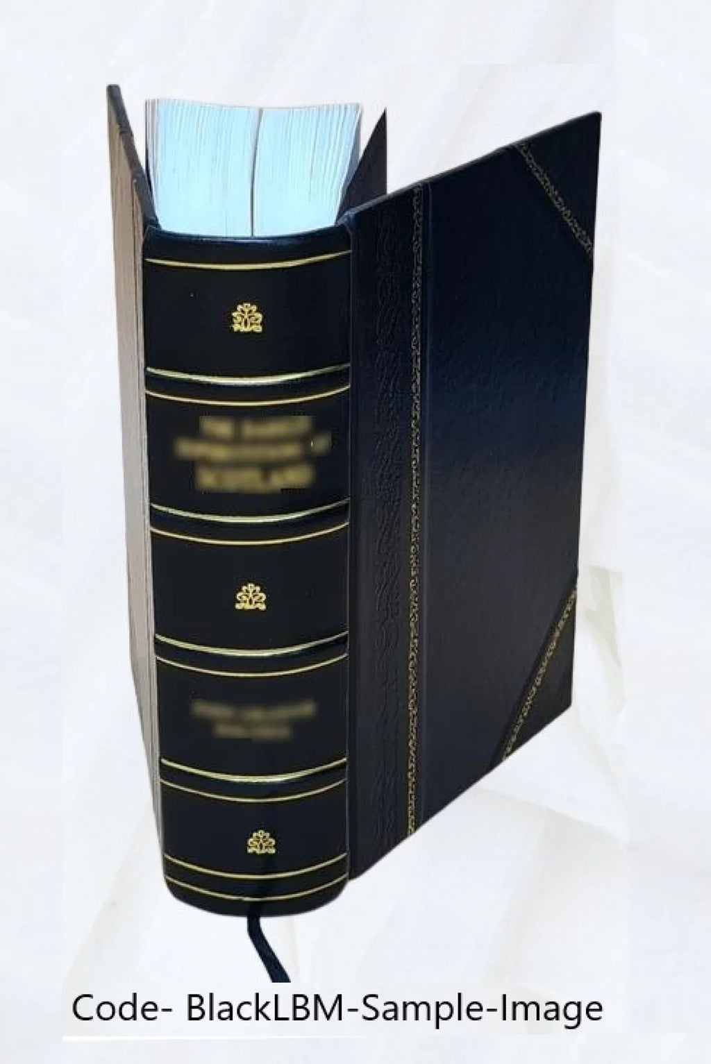 Divus Thomas cum patribus ex prophetis locutus Priscorum ac recentium errorum spurcissimas tenebras, Mysticam theologiam obscurare molientes Angelice dissipans sive Dissertationes