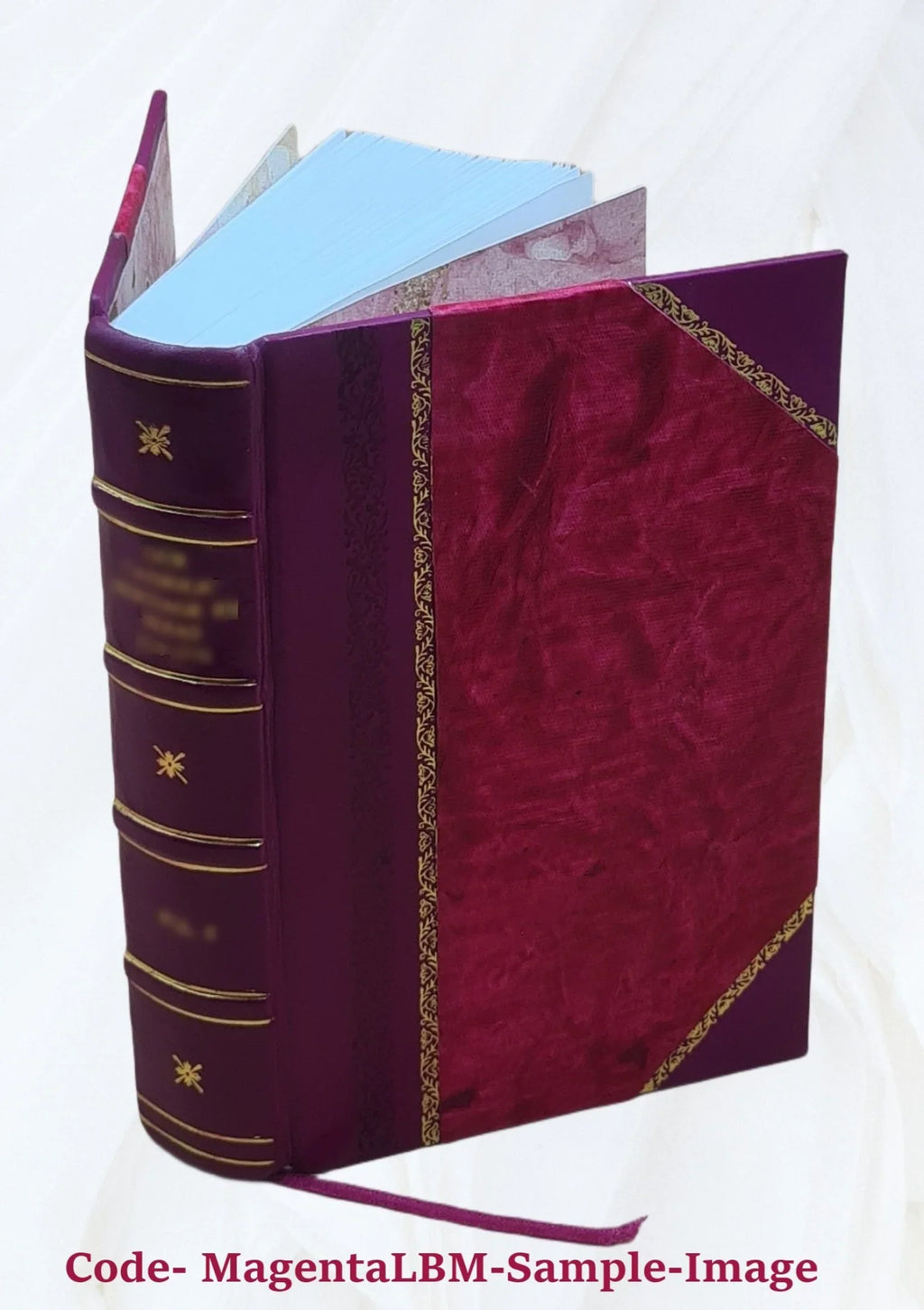Divus Thomas cum patribus ex prophetis locutus Priscorum ac recentium errorum spurcissimas tenebras, Mysticam theologiam obscurare molientes Angelice dissipans sive Dissertationes