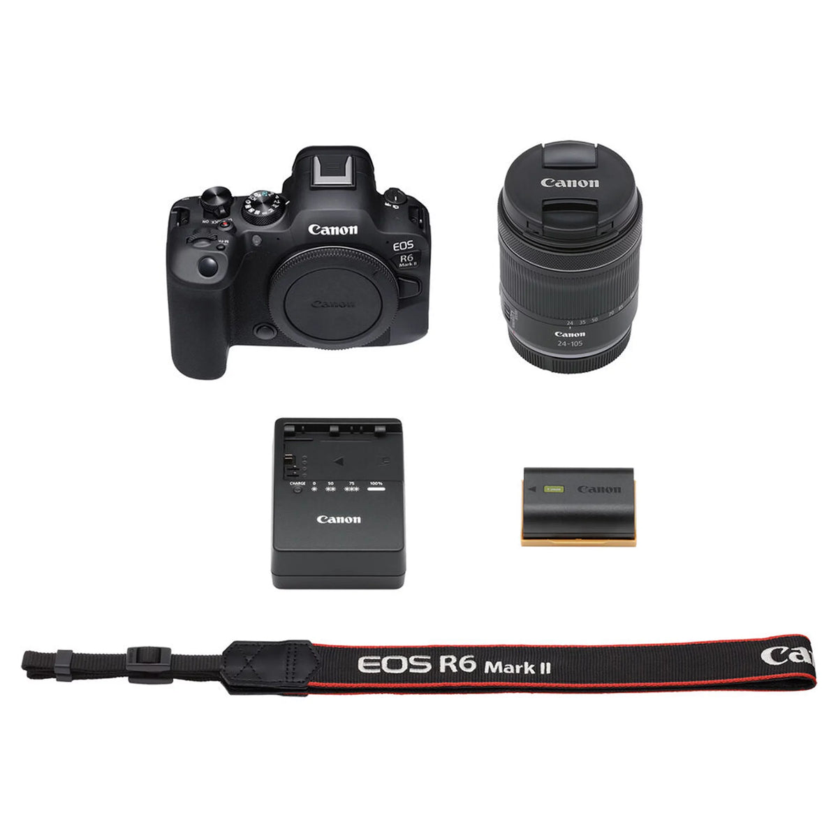 EOS R6 Mark II Mirrorless Digital Camera with RF 24-105mm f/4-7.1 STM Lens  + 64GB Memory + Case+ Steady Grip Pod + Tripod+ Software Pack + More (30pc Bundle)