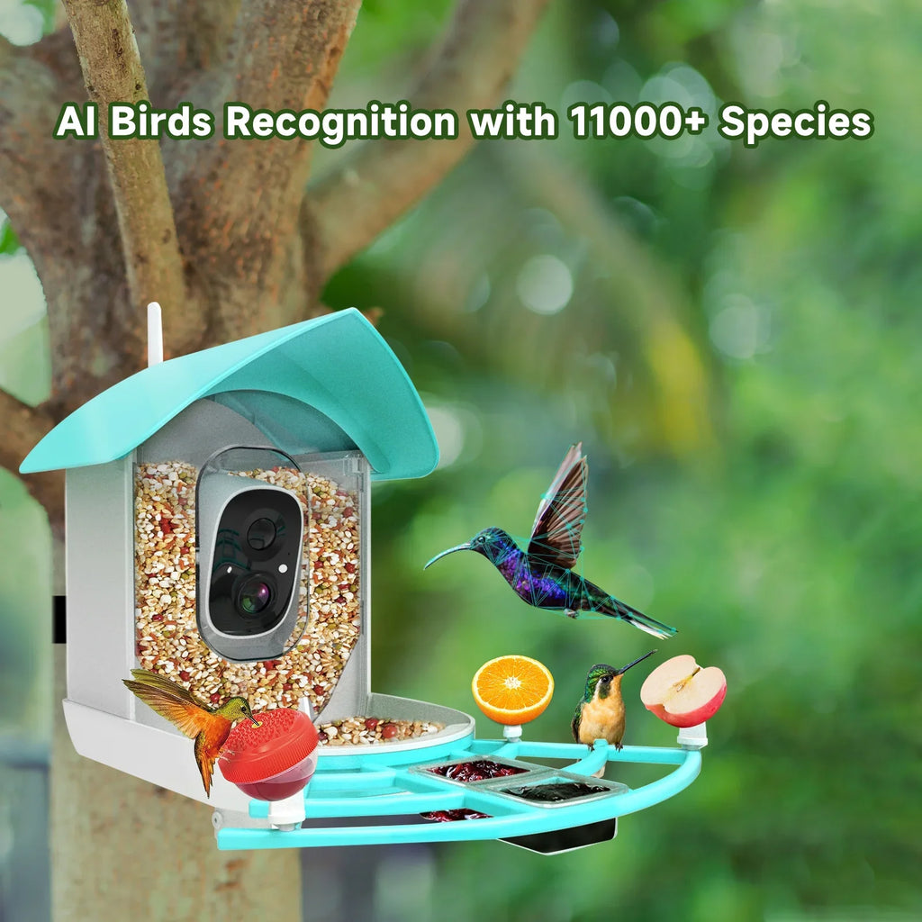 Arealer Surveillance camera,PirAi Camera Resolution Pir 1080pVideo Feeder With Camera Video Vico App Solar Powered Feeder Camera App Wifi 1080p Video Wifi Wireless Ai Species Owsoo