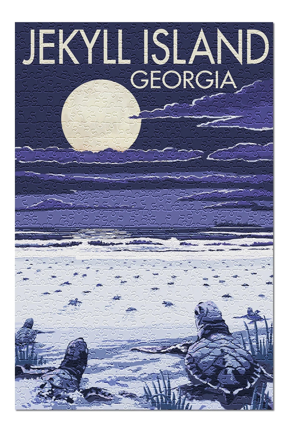 Jekyll Island, Georgia, Turtles Hatching (19x27 inches, Premium 500 Piece Jigsaw Puzzle for Adults and Family, Made in USA)