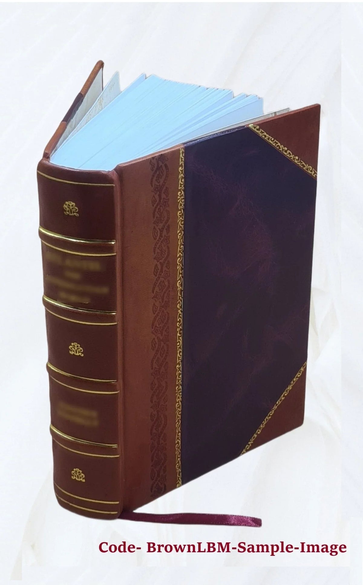 Divus Thomas cum patribus ex prophetis locutus Priscorum ac recentium errorum spurcissimas tenebras, Mysticam theologiam obscurare molientes Angelice dissipans sive Dissertationes