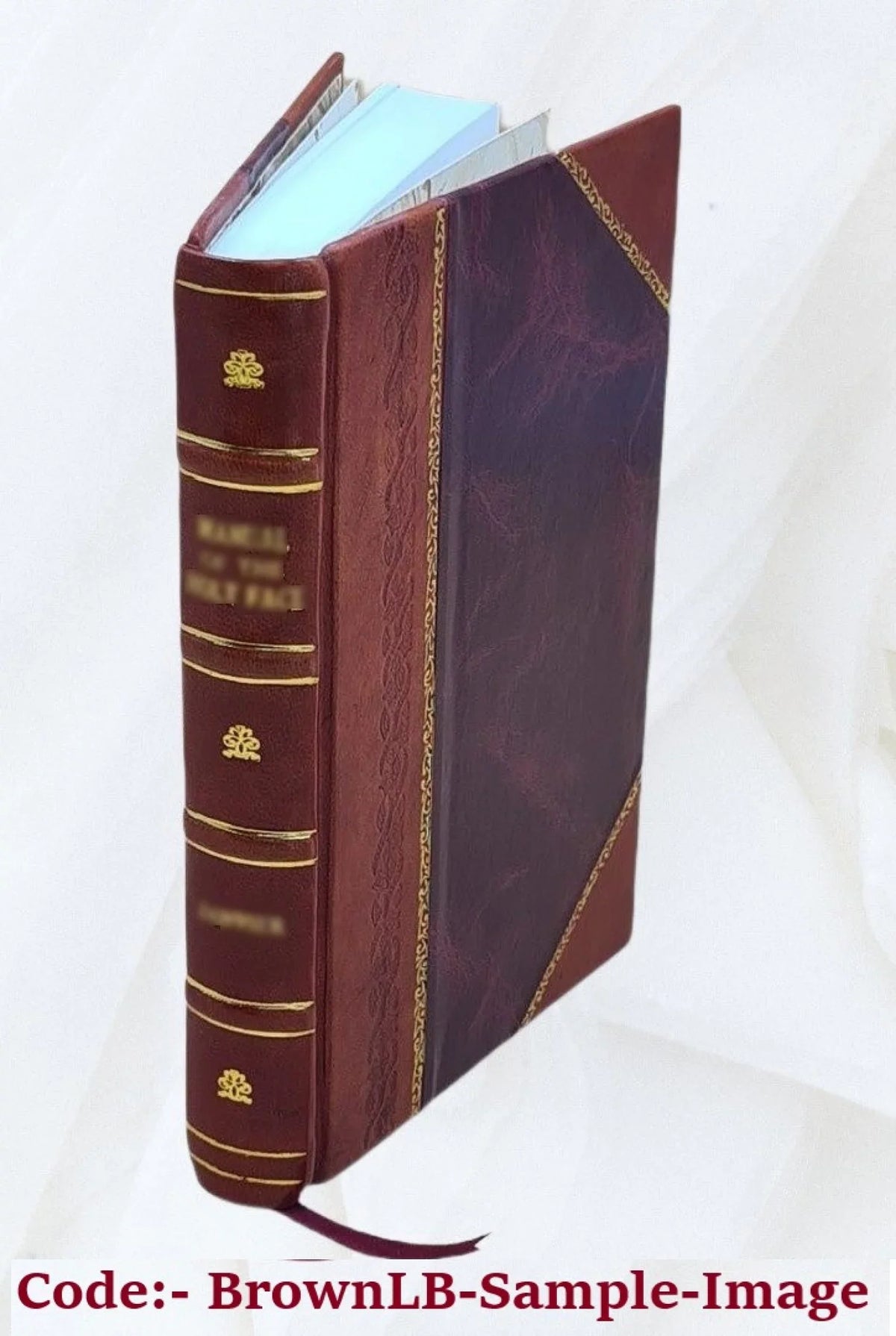 Roger of Sicily and the Normans in Lower Italy, 1016-1154 1912 [Leather Bound]