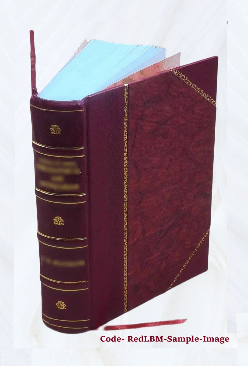 Divus Thomas cum patribus ex prophetis locutus Priscorum ac recentium errorum spurcissimas tenebras, Mysticam theologiam obscurare molientes Angelice dissipans sive Dissertationes