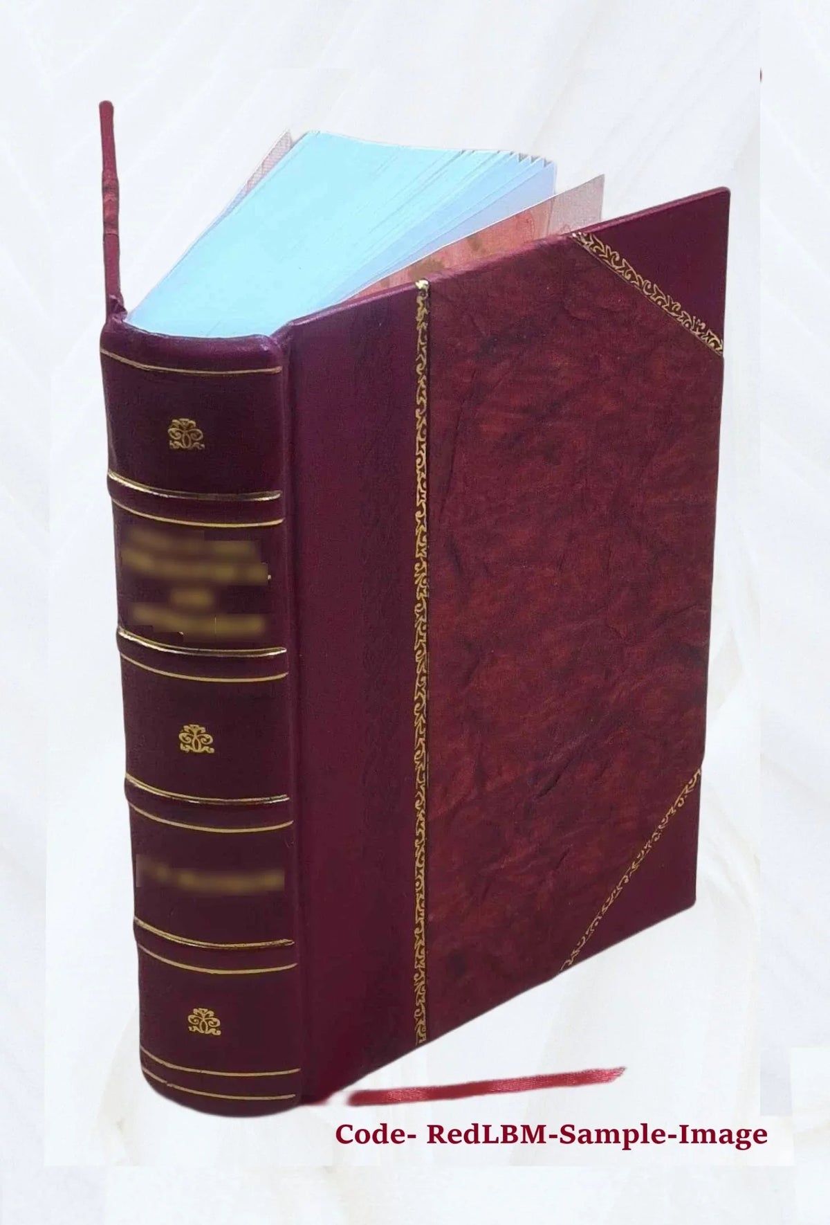Divus Thomas cum patribus ex prophetis locutus Priscorum ac recentium errorum spurcissimas tenebras, Mysticam theologiam obscurare molientes Angelice dissipans sive Dissertationes