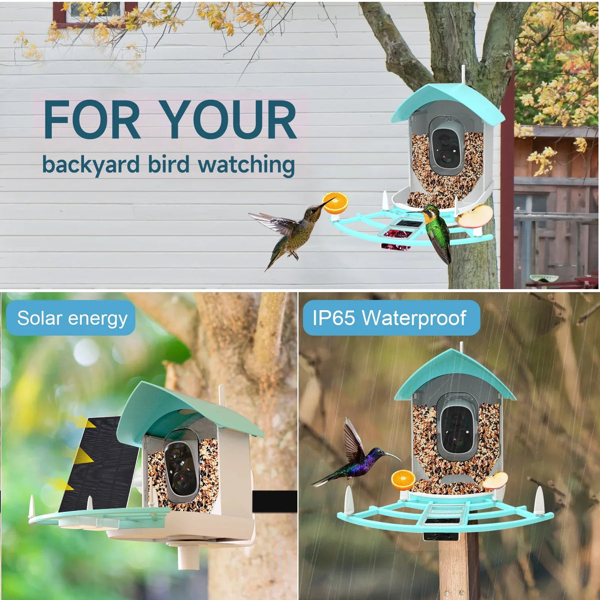 Arealer Surveillance camera,PirAi Camera Resolution Pir 1080pVideo Feeder With Camera Video Vico App Solar Powered Feeder Camera App Wifi 1080p Video Wifi Wireless Ai Species Owsoo