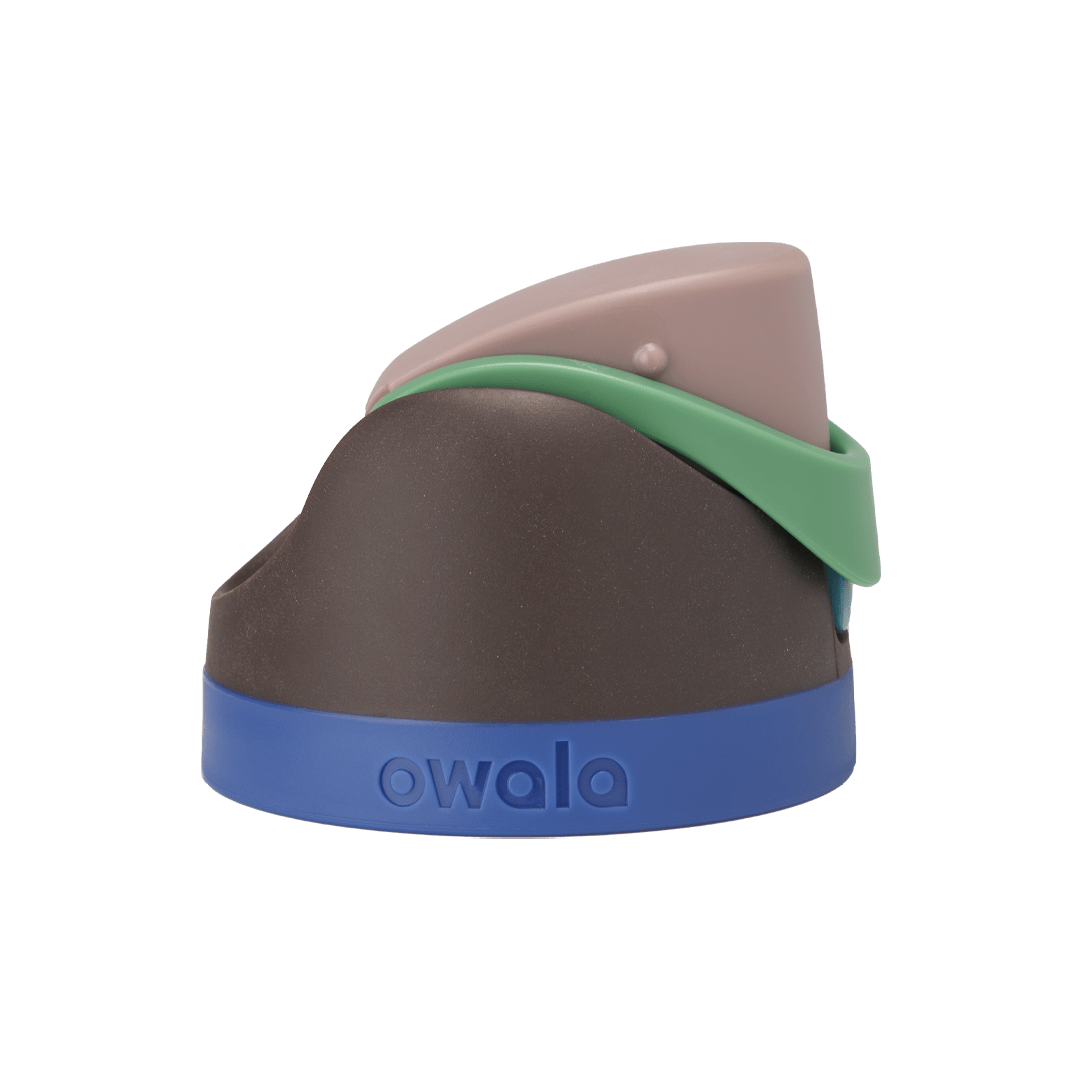 Brunch Bunch